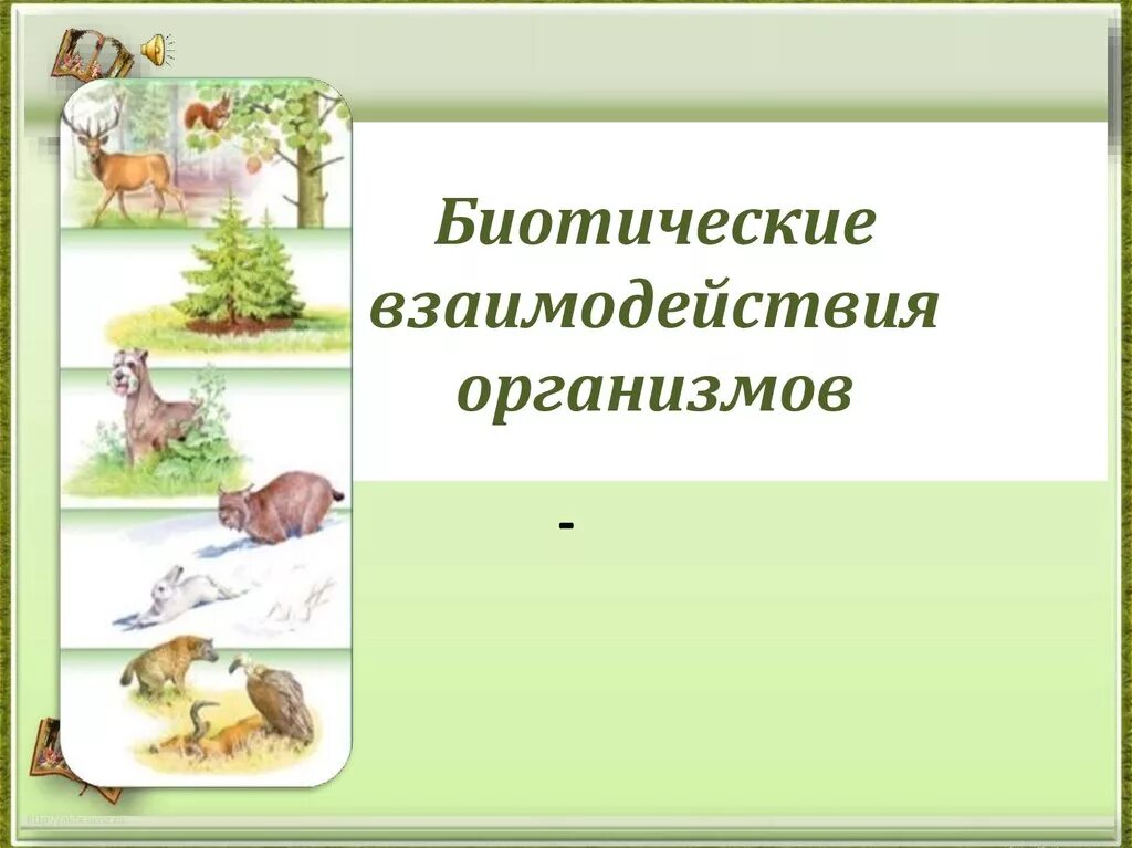 Биотические взаимоотношения организмов. Биотические факторы взаимоотношения между организмами. Биотические факторы. Типы взаимоотношений между организмами.. Биотические связи в природе таблица. Биотические взаимодействия