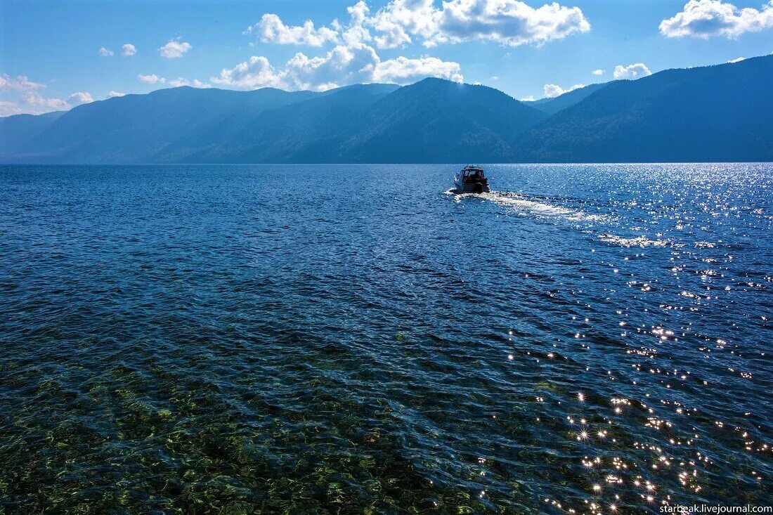 Усадьба телецкий прибой телецкое озеро. Телецкое озеро алтай. Телецкое озеро одно из главных. Телецкое озеро одно из главных. Телецкое озеро.