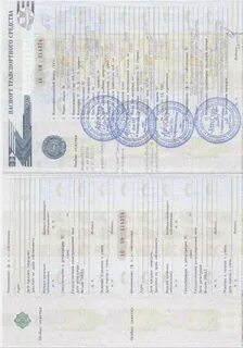 Таблица птс