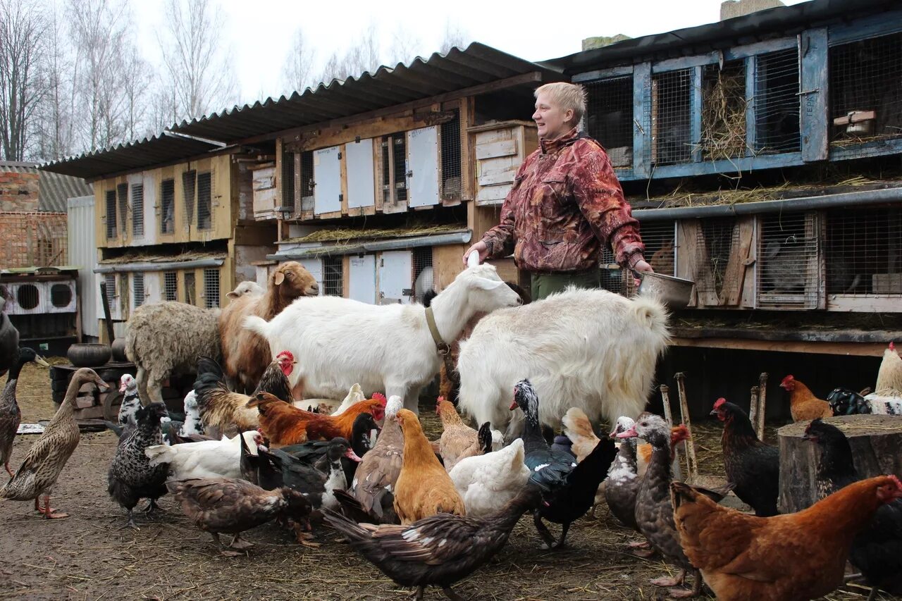 Наличие подсобного хозяйства. Подсобное хозяйство. Личное подсобное хозяйство. Хозяйство в деревне. Подсобное хозяйство в деревне.