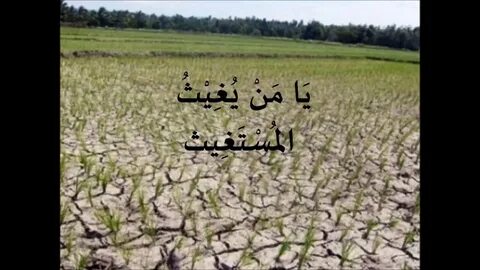 Неблагоприятные условия внешней среды