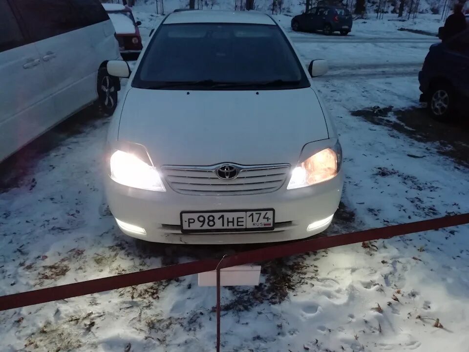 Тойота королла дальний свет ближний свет. Ближний свет Тойота Королла 120. Toyota Corolla 120 Ближний и Дальний свет. Раздельный свет Королла 120. Фара тускло горит Тойота Королла 121.