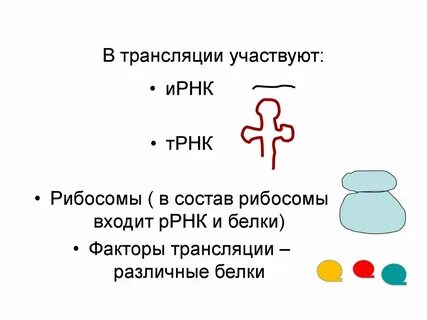 Трнк участвует трансляции