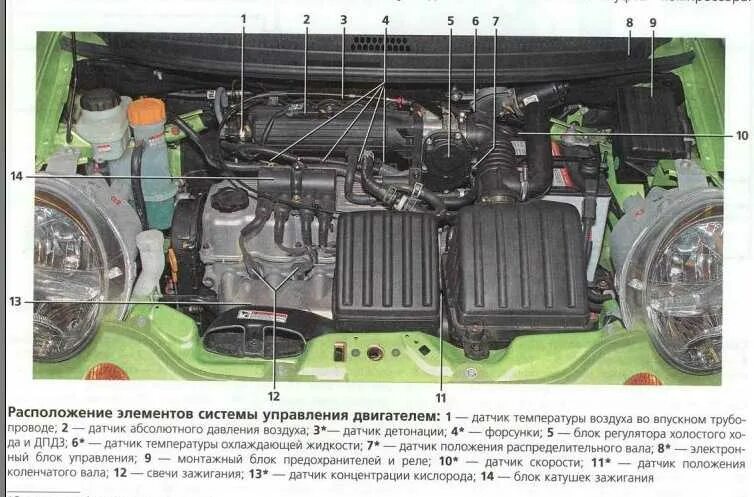 Неисправности матиза. Датчики двигателя Daewoo Matiz 0,8. Датчики Дэу Матиз 1.0 расположение. Дэу Матиз система охлаждения двигателя 0.8. Система управления двигателем Матиз 0.8.