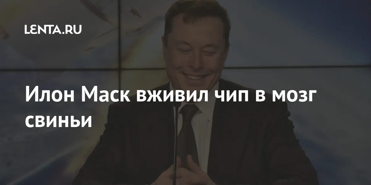 Илон маск вживил чип в свинью. Маск вживил чип в мозг человека. Искусственный мозг человека. Вживили чип в обезьяну. Нейролинк илон маск.