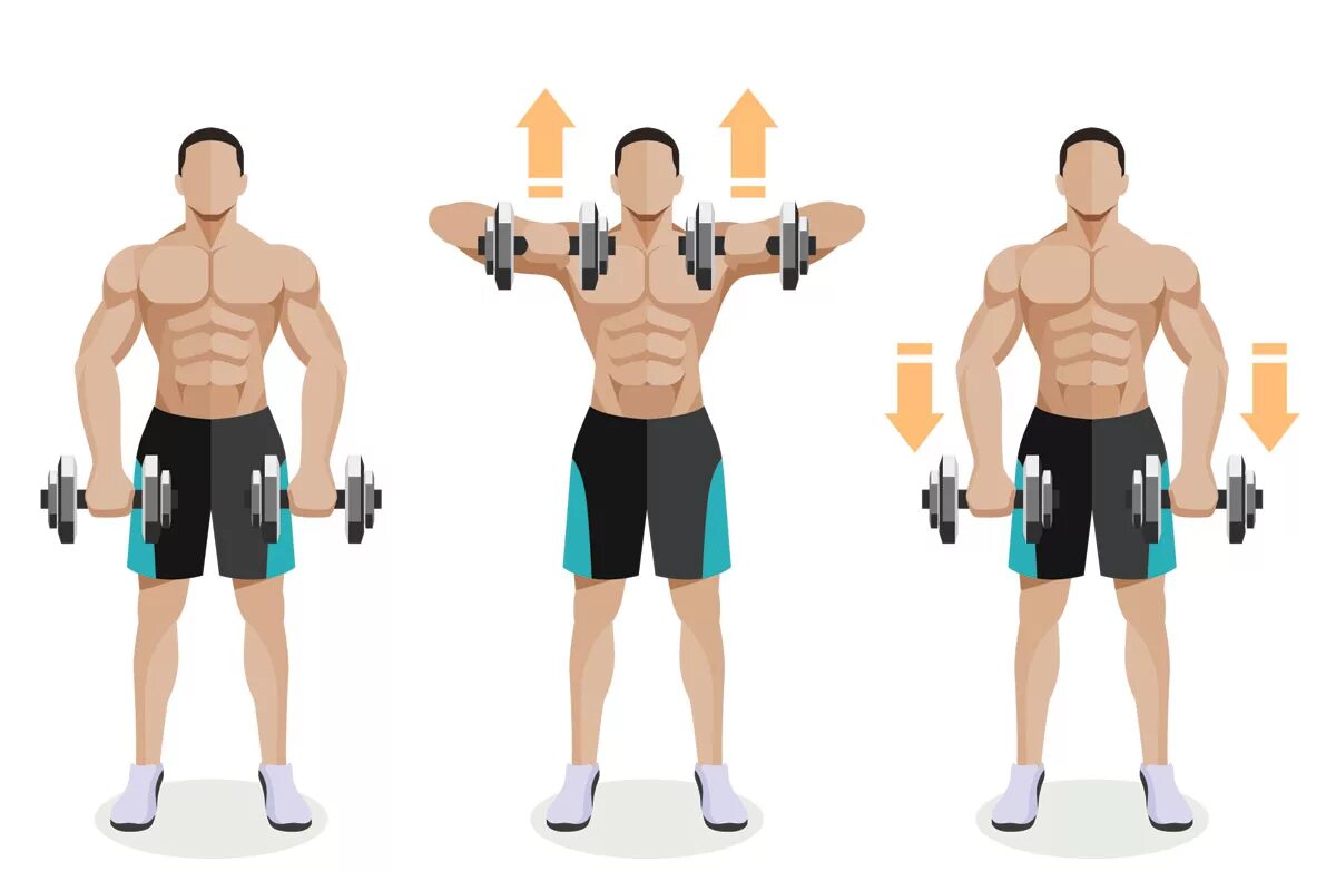 Упражнения на грудные мышцы с гантелями стоя. Тренировка плеч с гантелями. Упражнения на плечи с гантелями. Упражнения на бицепс с гантелями.