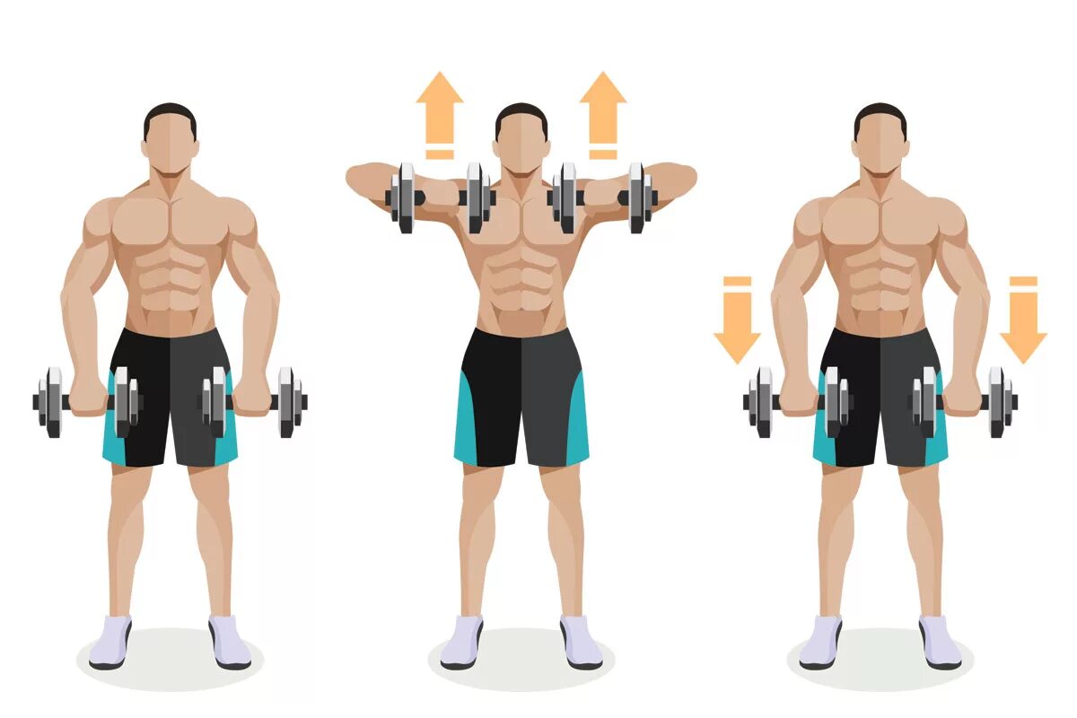 Упражнения на трапециевидную. Упражнения на грудные мышцы с гантелями стоя. Тренировка плеч с гантелями. Упражнения на плечи с гантелями. Упражнения на бицепс с гантелями.