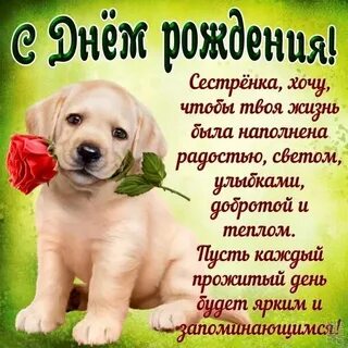Анечка проза