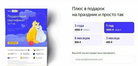 Как оформить плюс