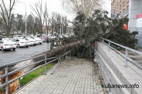 Анапа ураган сегодня