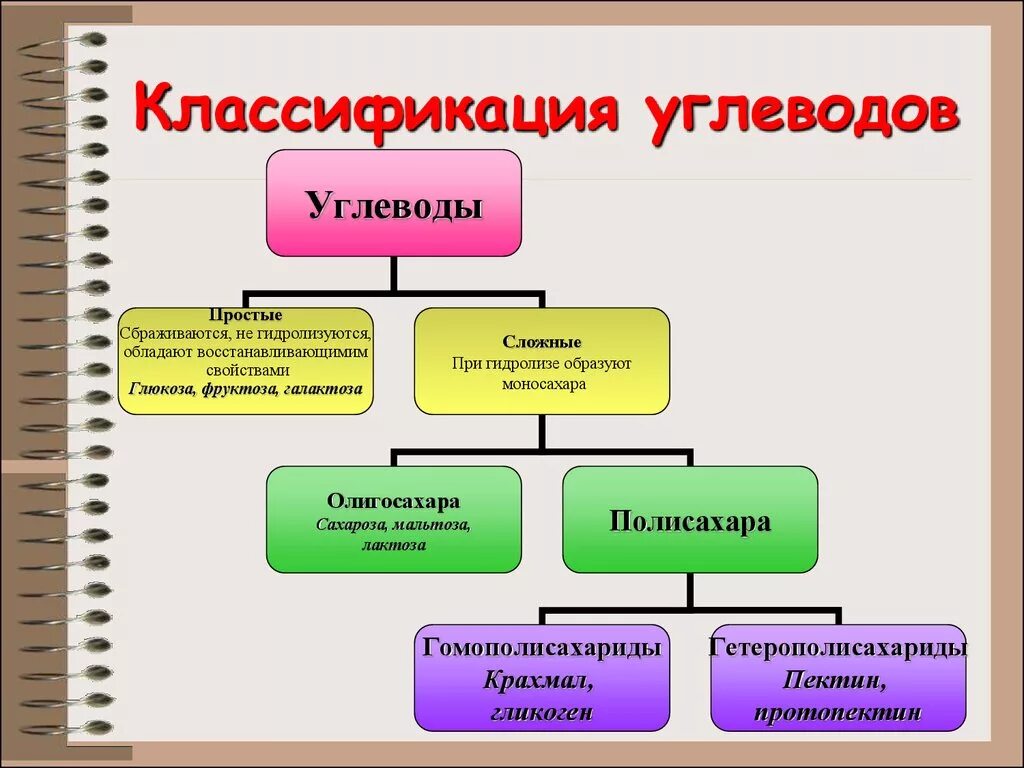 Классификация углеводов биохимия схема. Классификация простых углеводов. Углеводы биохимия классификация и функции. Классификация углеводов простые и сложные.