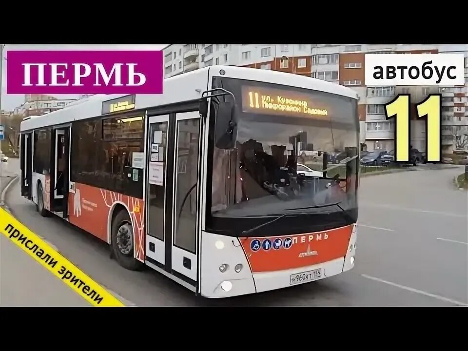 51 маршрут автобуса пермь. 55 Автобус Пермь. 77 Автобус Пермь. 14 Автобус Пермь.