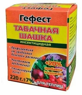 Шашка для теплиц осенью