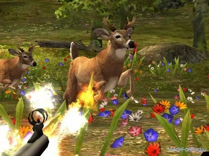 Deer hunter