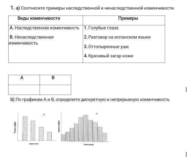 Проверочная работа по теме примеры случайной изменчивости Случайная изменчивость это