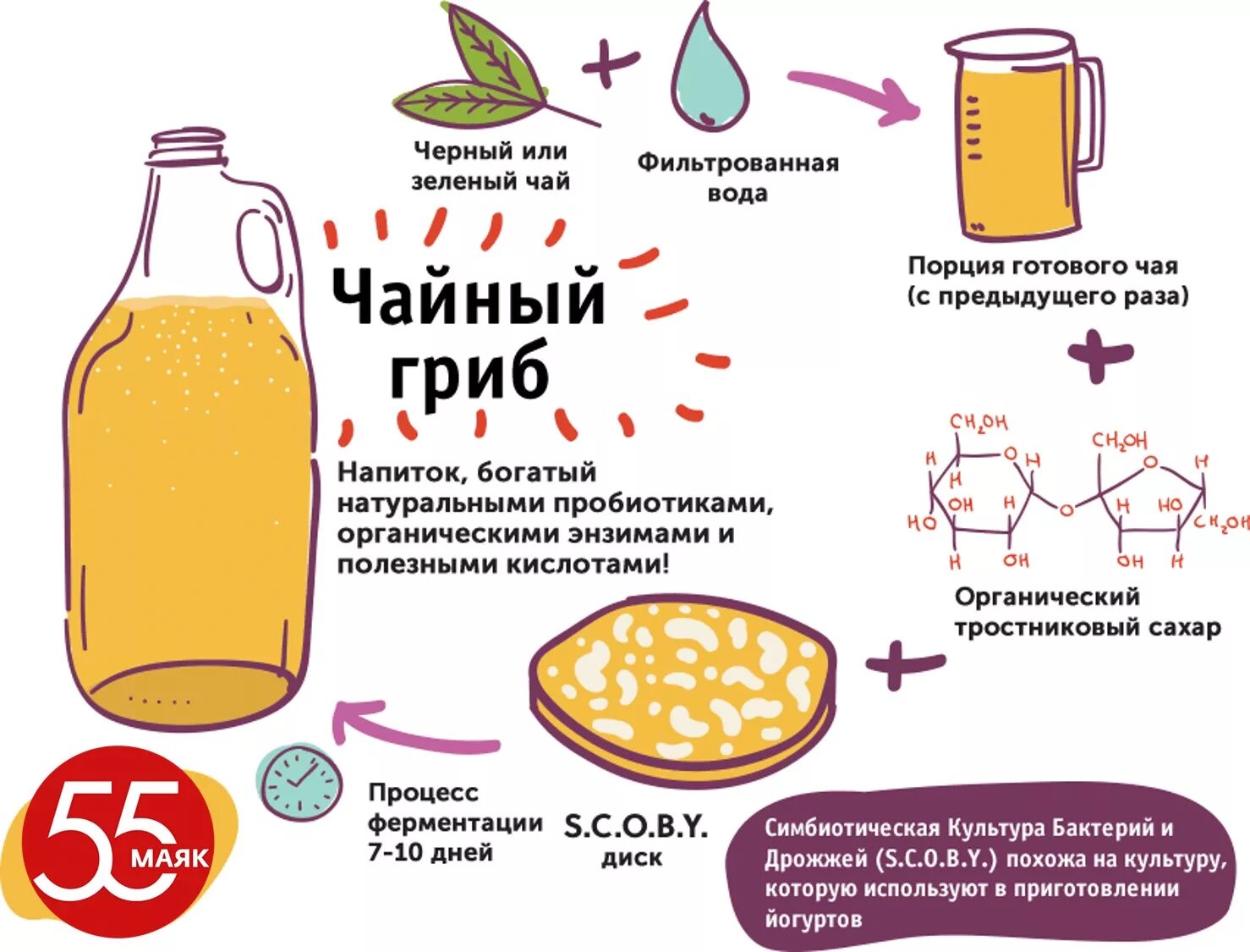 Сколько настаивается чайный. Чайный гриб приготовление. Чем полезен чайный гриб. Чайный гриб как приготовить. Чайный гриб рецепт.