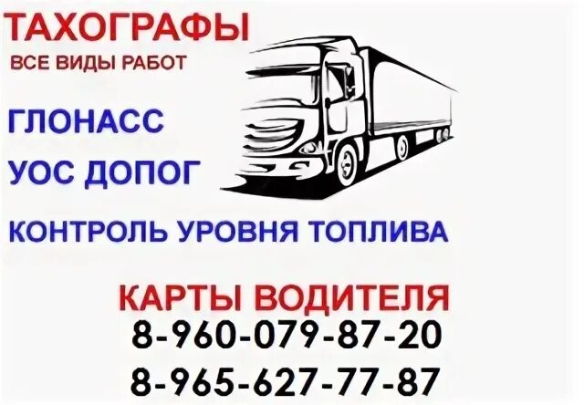 Барс елабуга. Барс елабуга