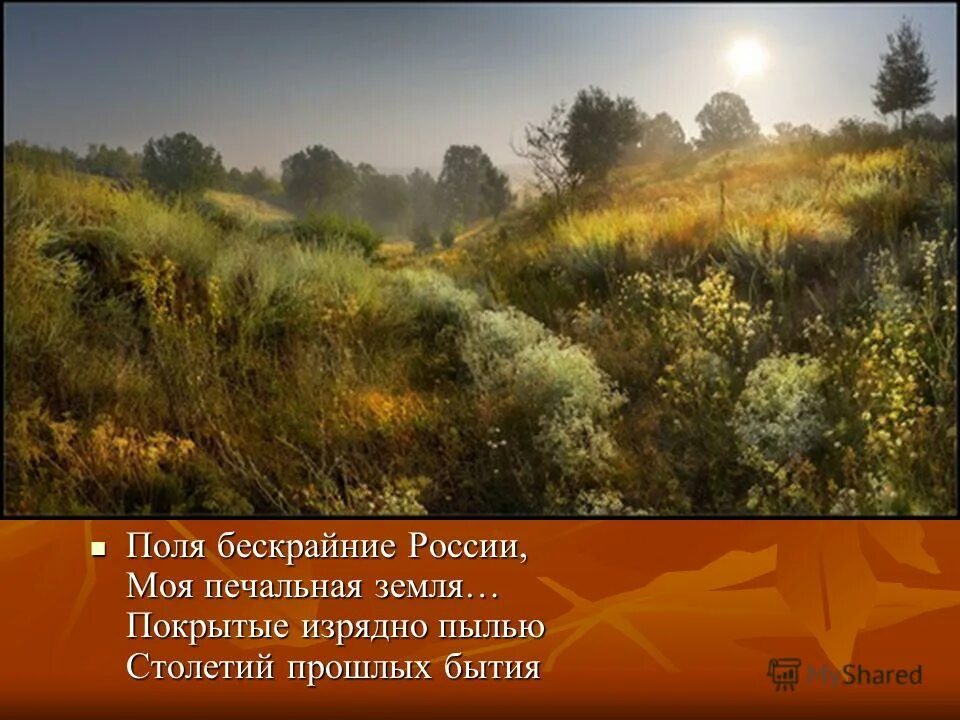 среди необозримых полей огэ