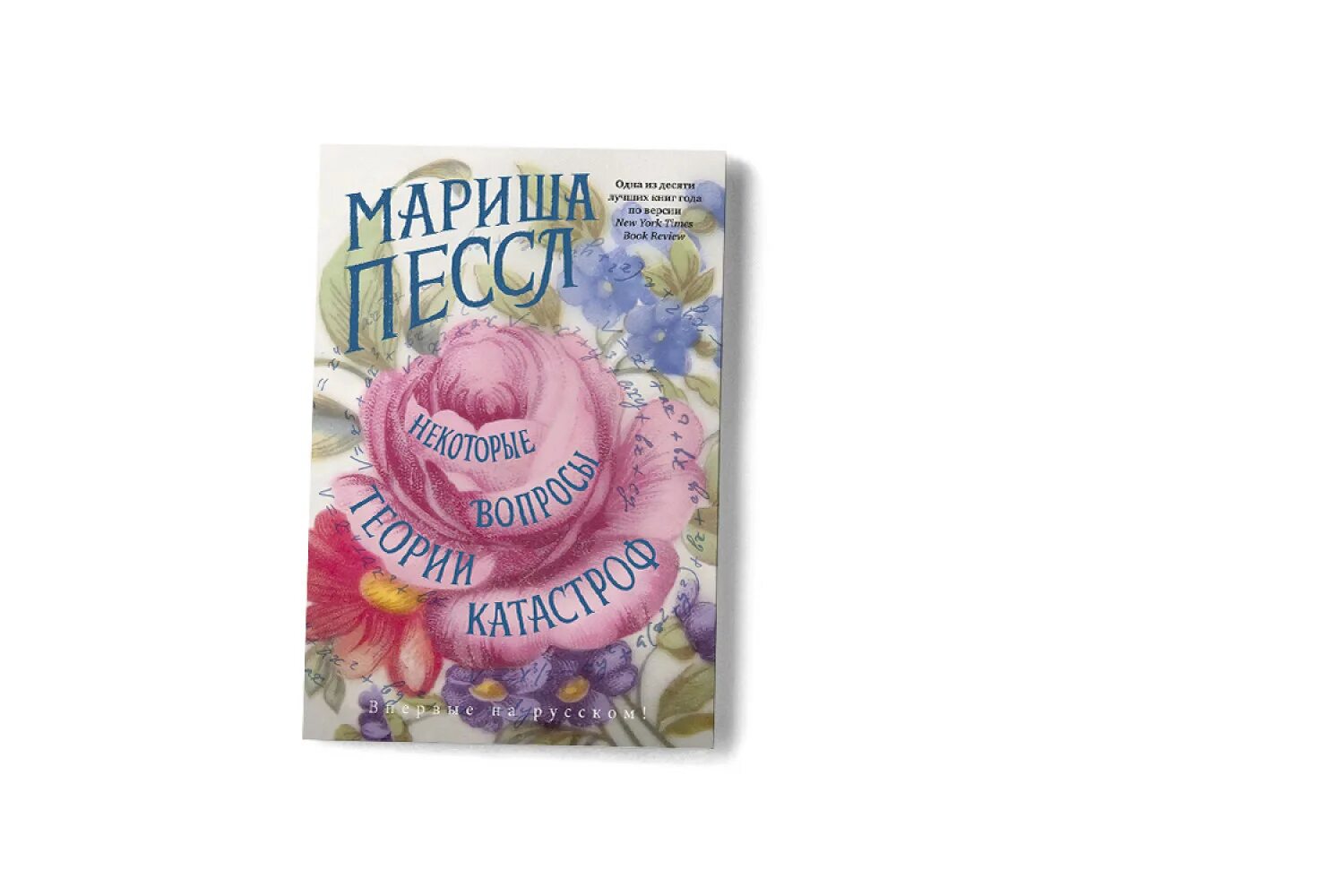 Пессл некоторые вопросы теории катастроф. Пессл некоторые вопросы теории катастроф