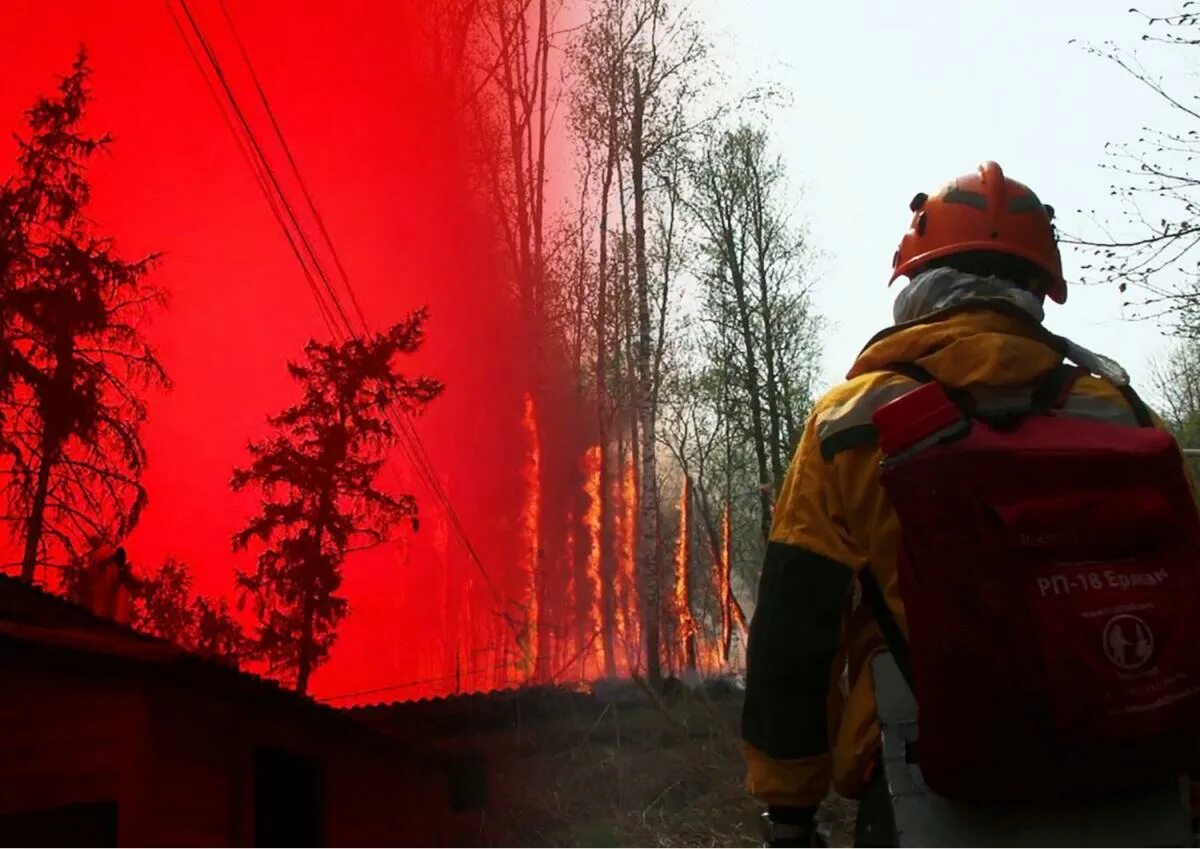 Лесные пожары в Якутии 2021. Лесной пожар Саров 2021. Пожары в Якутии 2022. Лесные пожары в Якутии 2023. Пожары и т д в