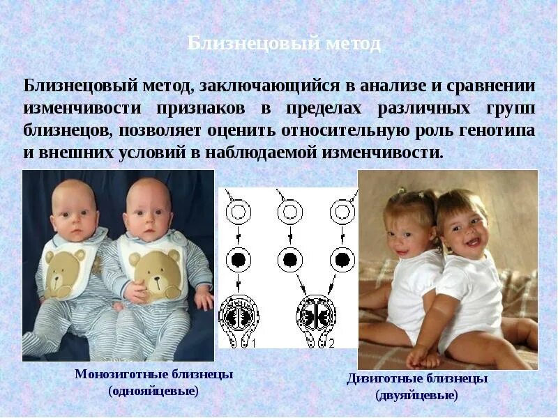 Генетика человека близнецы. Методы генетики человека близнецовый метод. близнецовый метод однояйцевые и разнояйцевые. близнецовый метод исследования человека. близнецовый метод изучения наследственности.