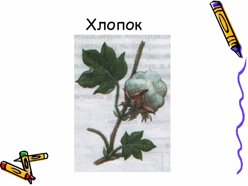 5 хлопков