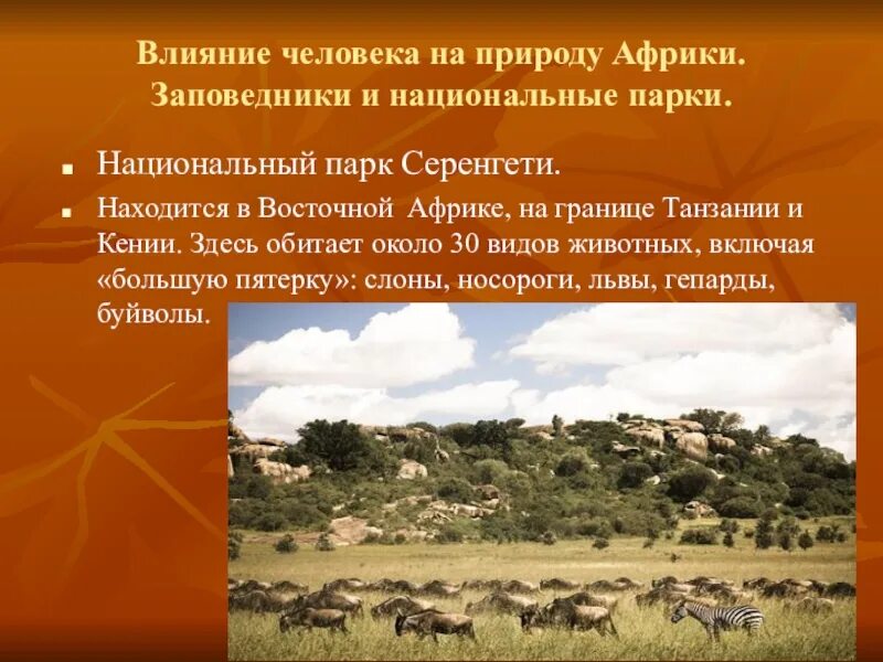 Государство находящееся под влиянием другого. Заповедник Серенгети в Африке. Парк Серенгети в Танзании. План национального парка в Танзании Серенгети. Заповедник парк Серенгети Африка.