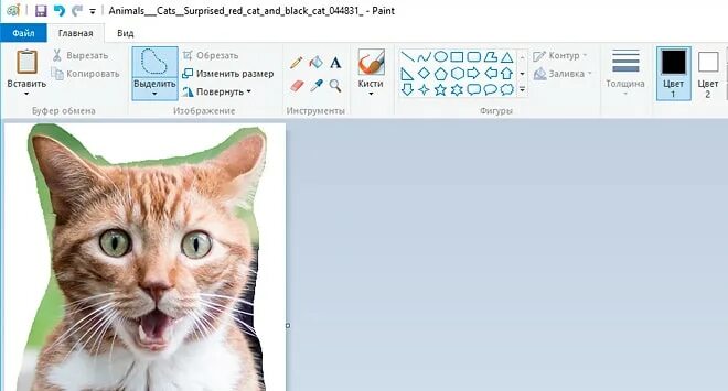 Как убрать фон в повер поинте с картинки BlogLinux.ru