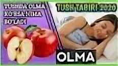 Тушда курса нима