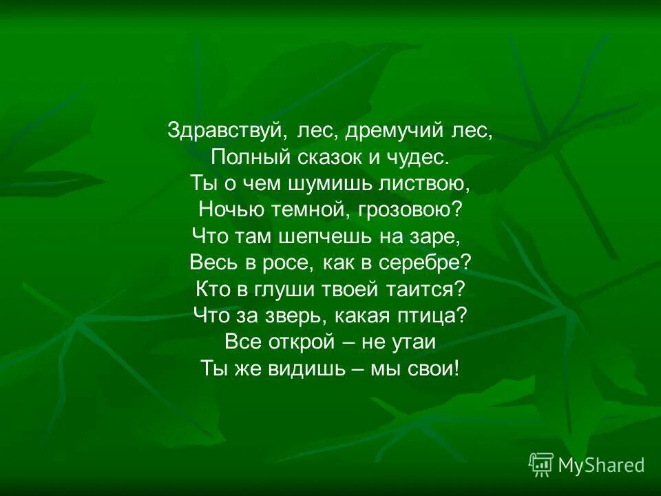 Стихотворение Здравствуй лес дремучий лес. Лес дремучий текст. Лес текст Здравствуй лес дремучий лес. Здравствуй лес дремучий лес полный сказок и чудес стих. Антоним к слову дремучий