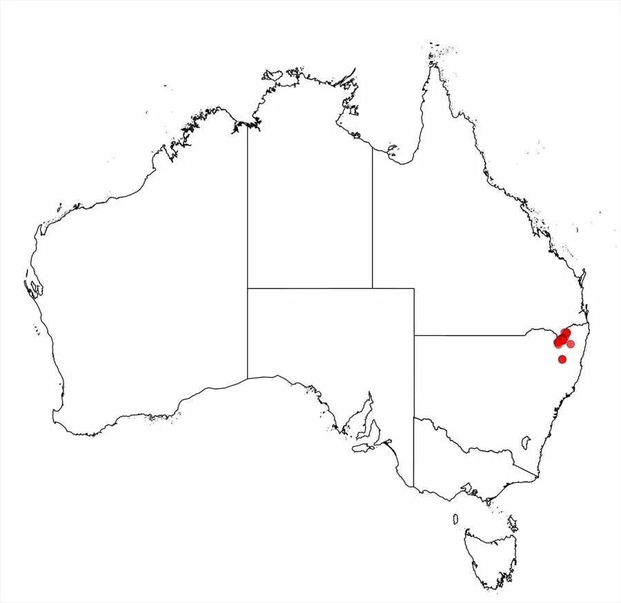 Контур материка Австралия. Контурная карта Австралии. Avstralya materigi xaritasi. Контур континента Австралия.