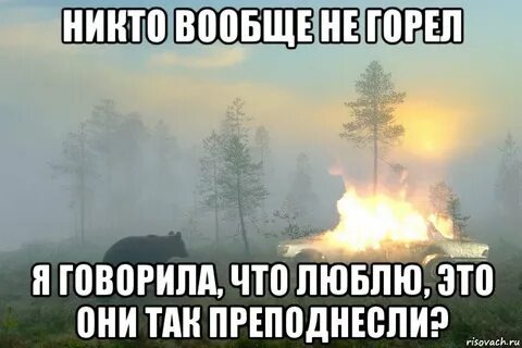Садись сгорай
