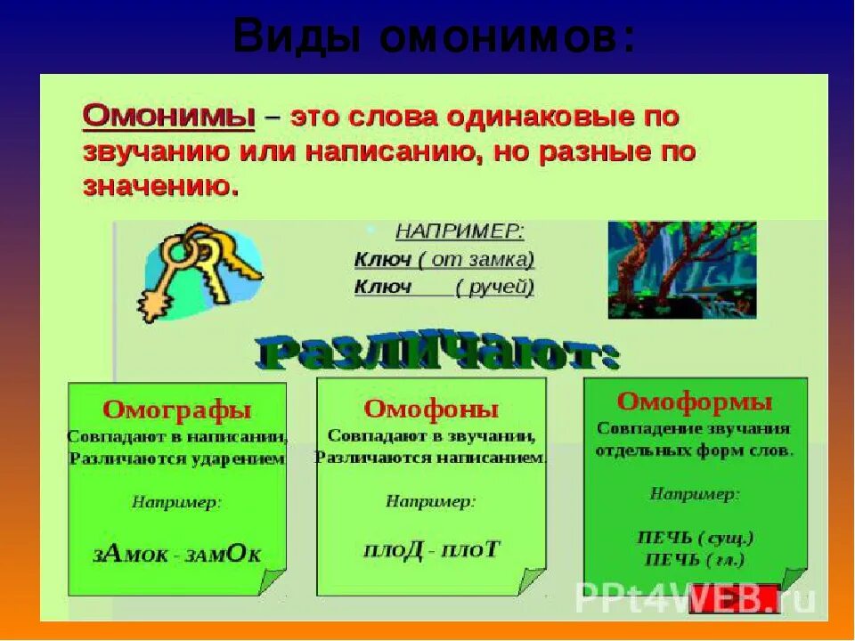 4 омонима слове. Омонимы. Слова омонимы. Виды омонимов. Примеры омонимов в русском языке.