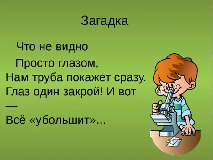 Загадки по биологии. Загадки про биологию. Загадки на тему биология. Загадки про биологию с ответами. 5 загадок по биологии