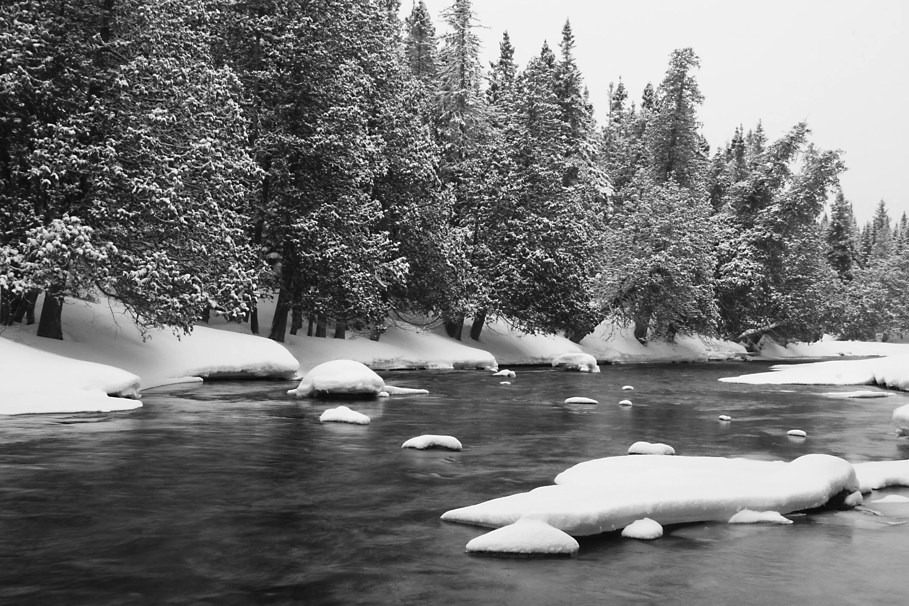 White river. Река зимой. Река Снежная. Снег на воде. Зима черная река.