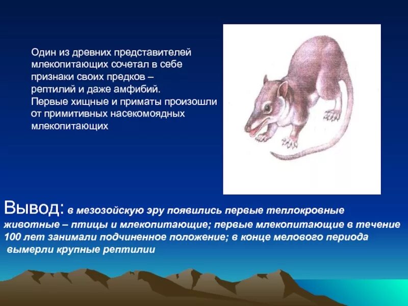 Приматы произошли от млекопитающих. Один из древних представителей млекопитающих. первые млекопитающие. первые млекопитающие произошли от. древние млекопитающие произошли от.