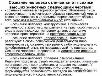Психические образы животных
