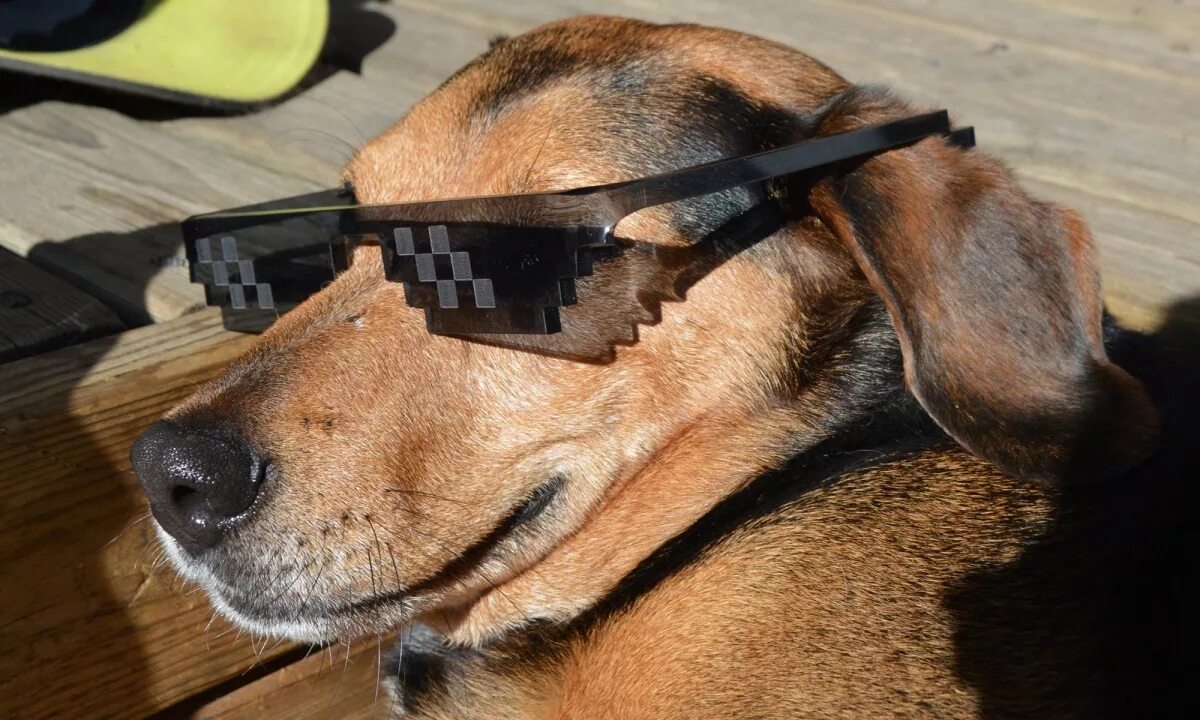 8ми угольные очки. Пиксельные очки deal with it. Deal with it мем. With it. Очки deal with it.