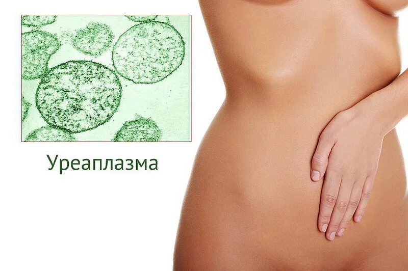 Микоплазма половым путем