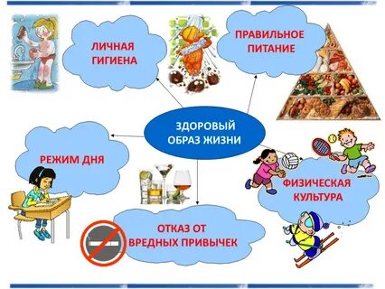 Тема что нужно человеку для жизни