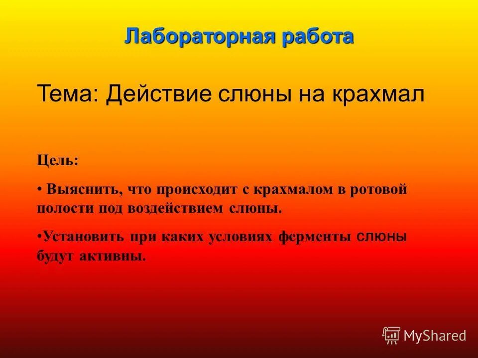 лабораторная работа изучение действия ферментов слюны на. крахмал лабораторная работа. действие ферментов слюны на крахмал. лабораторная работа действие слюны на крахмал 8 класс ход работы. лабораторная работа крахмал.