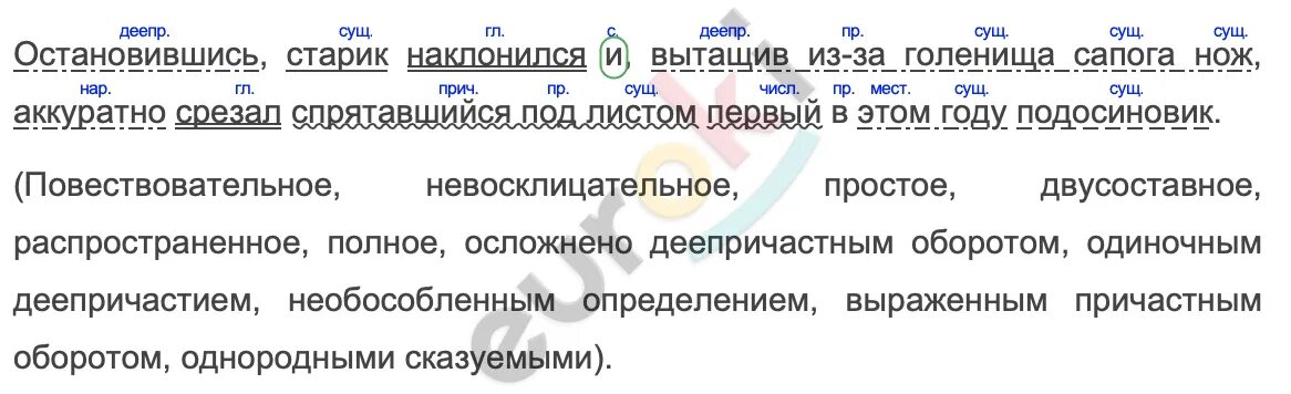 Как делается разбор предложения. Синтаксический разбор пред. Остановившись старик наклонился и вытащив синтаксический разбор. Синтаксический разбор сложного предложения 5 класс образец. Остановившись старик наклонился и вытащив синтаксический разбор.
