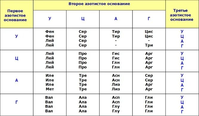 Таблица нуклеотидов РНК. Таблица соответствия нуклеотидов ДНК И РНК. Азотистые основания ДНК И РНК таблица. Таблица нуклеотидов ДНК.