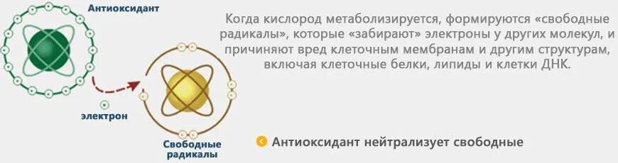 Донором электронов является. Витамин с Атоми. Витамин с Atomy Vitamin Color food c. Витамин с Атоми картинки. Витамин с Свободный электрон.