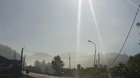 Утра дымов