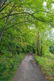 Самурай парк швейцария нижний