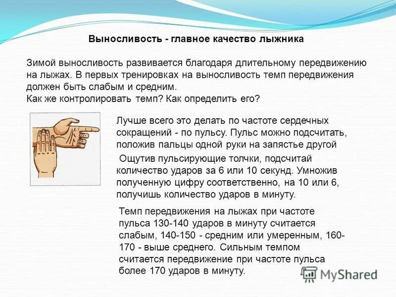 Основные качества лыжника. 130 Ударов в минуту сердце. Пульс при ходьбе 130-140. Пульс 170 ударов в минуту.