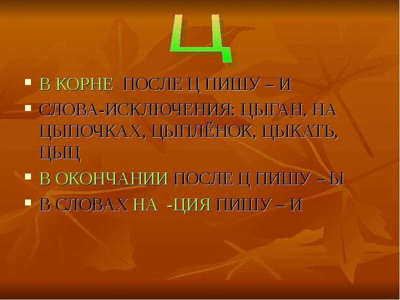 Цыпочка слово. Учимся обозначать звук ы после звука ц. 3 Класс слова исключения Учимся обозначать звук ы после звука ц. На цыпочках в корне после ц. Слова исключения на тему Учимся обозначать звуки и после звука ц.