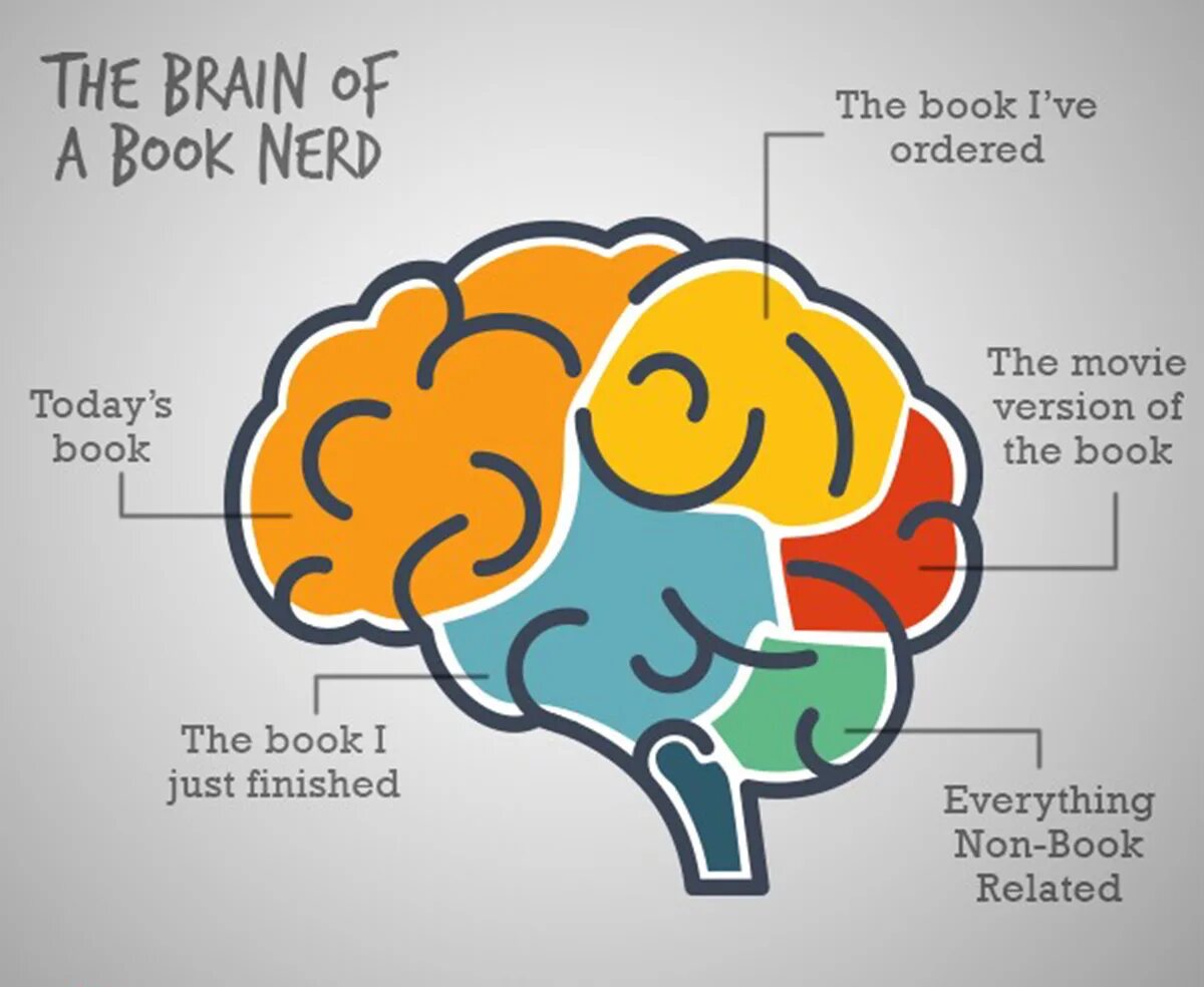 Книга мозг. Мозг с книжкой. Мозг из книг. Мозг с учебником.