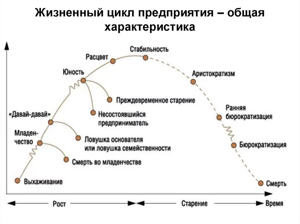 Этапы становление организации. Модель жизненного цикла компании по Адизесу. Ицхак Адизес стадии жизненного цикла организации. Модель организационного развития Ицхака Адизеса. Модель жизненного цикла цикла организации по Адизесу.